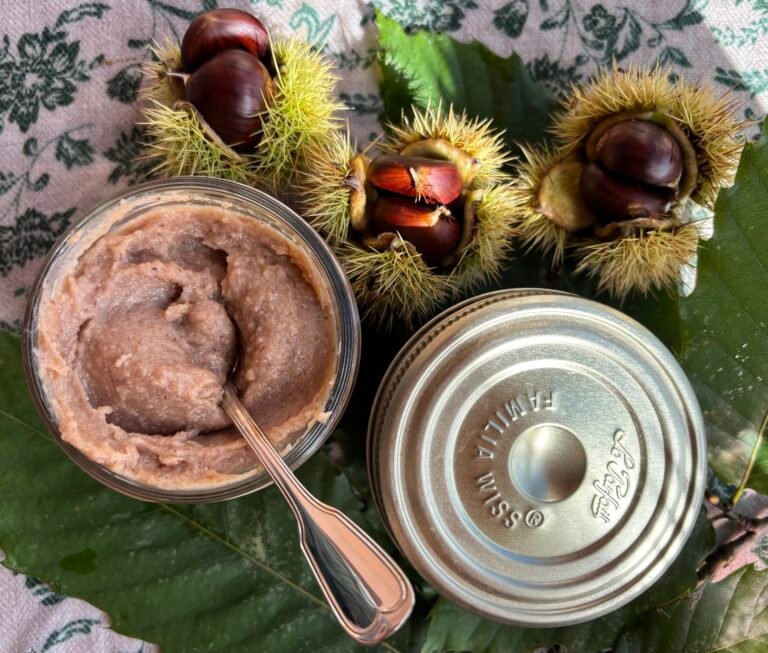 Chestnut Cream in Glass with Spoon in Sunlight